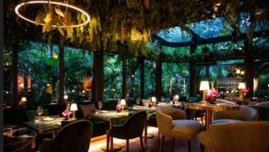 COBA-Restaurant-Opens-in-Bangkok-Redefining-Experiential-Dining-TRAVELINDEX.jpg